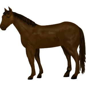 horse