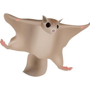 flying squirrel