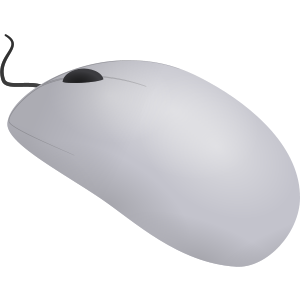 computer mouse