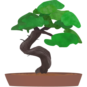 bonsai tree