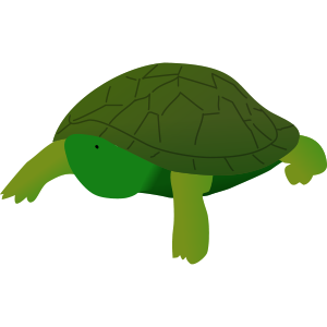 turtle