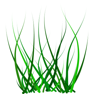 grass